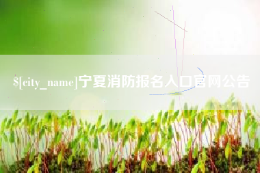 张掖宁夏消防报名入口官网公告