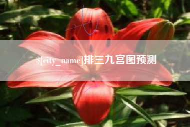 张掖排三九宫图预测