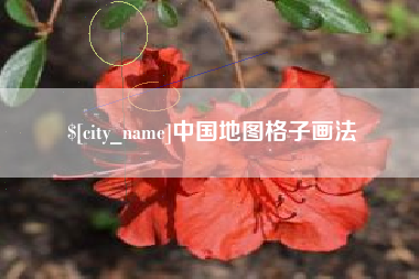 张掖中国地图格子画法
