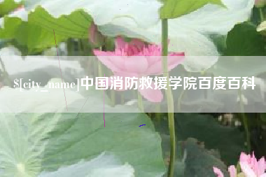 张掖中国消防救援学院百度百科