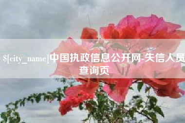 张掖中国执政信息公开网-失信人员查询页