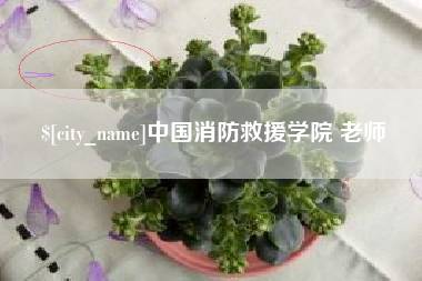 张掖中国消防救援学院 老师