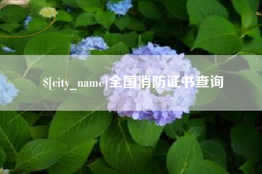 张掖全国消防证书查询