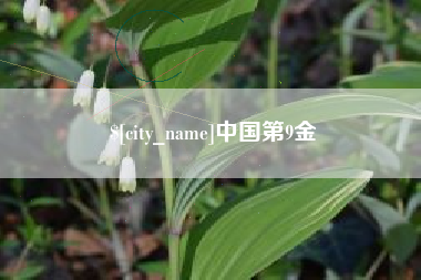 张掖中国第9金