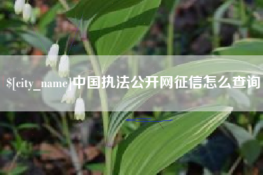 张掖中国执法公开网征信怎么查询