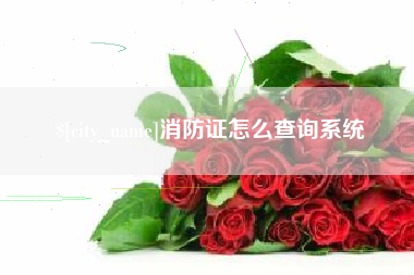 张掖消防证怎么查询系统