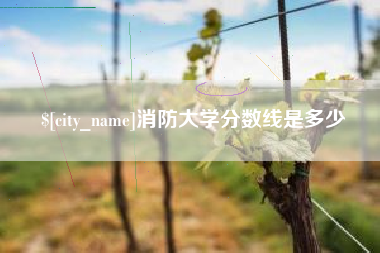 张掖消防大学分数线是多少