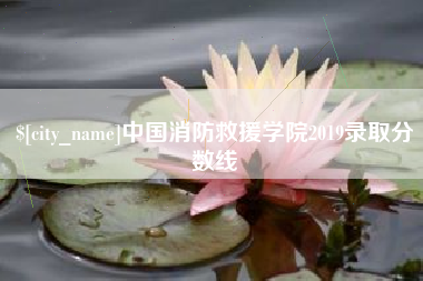 张掖中国消防救援学院2019录取分数线