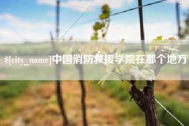 张掖中国消防救援学院在那个地方