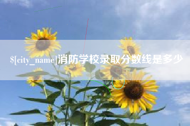 张掖消防学校录取分数线是多少