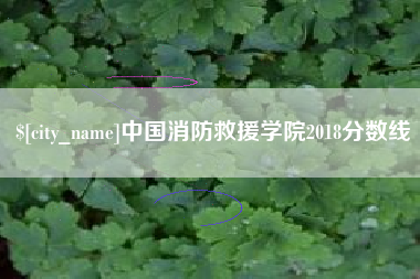 张掖中国消防救援学院2018分数线