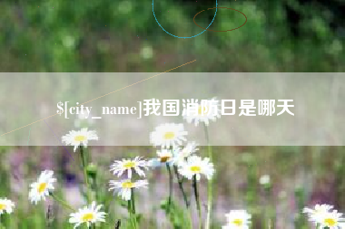 张掖我国消防日是哪天