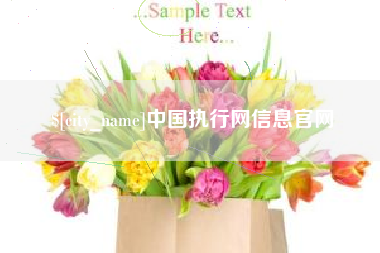 张掖中国执行网信息官网