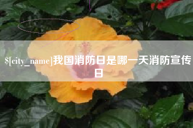 张掖我国消防日是哪一天消防宣传日