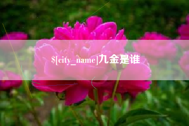 张掖九金是谁
