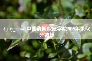 张掖中国消防救援学院2019年录取分数线