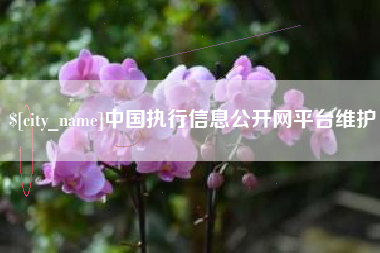 张掖中国执行信息公开网平台维护