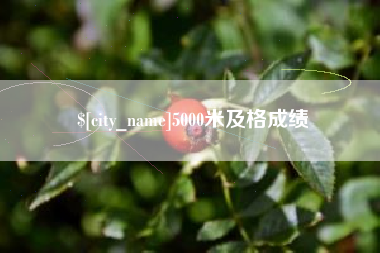 张掖5000米及格成绩