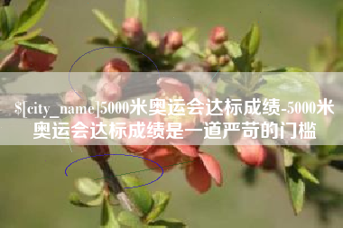 张掖5000米奥运会达标成绩-5000米奥运会达标成绩是一道严苛的门槛