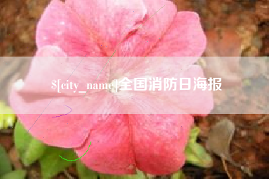 张掖全国消防日海报