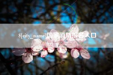 张掖国家消防报名入口