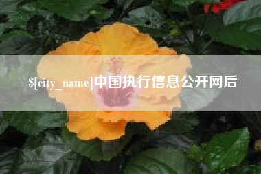 张掖中国执行信息公开网后
