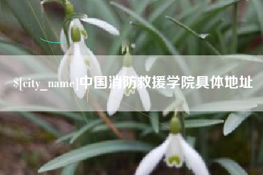 张掖中国消防救援学院具体地址