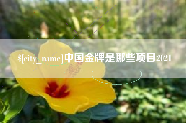 张掖中国金牌是哪些项目2021