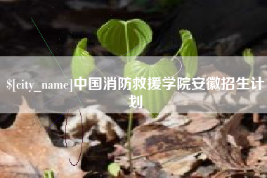 张掖中国消防救援学院安徽招生计划