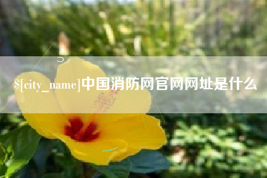 张掖中国消防网官网网址是什么
