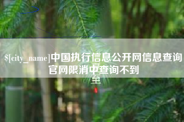 张掖中国执行信息公开网信息查询官网限消中查询不到