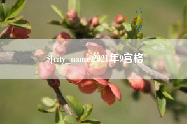 张掖2021年9宫格