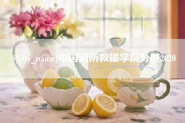 张掖中国消防救援学院分数2020