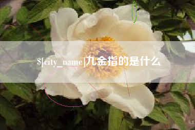 张掖九金指的是什么