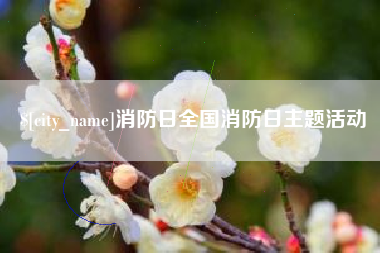 张掖消防日全国消防日主题活动