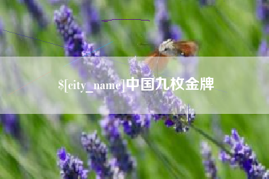 张掖中国九枚金牌