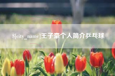 张掖王子豪个人简介乒乓球