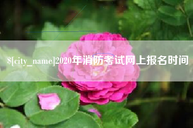 张掖2020年消防考试网上报名时间