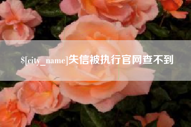 张掖失信被执行官网查不到