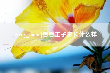 张掖看看王子豪长什么样