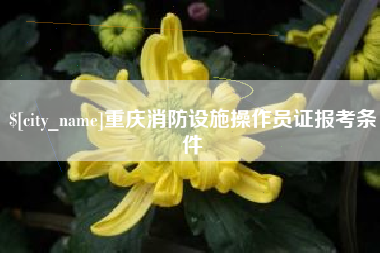 张掖重庆消防设施操作员证报考条件