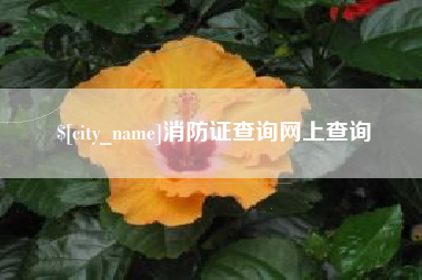 张掖消防证查询网上查询