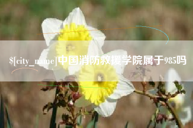 张掖中国消防救援学院属于985吗