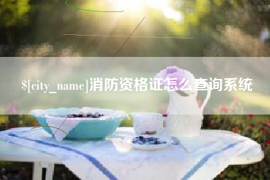 张掖消防资格证怎么查询系统