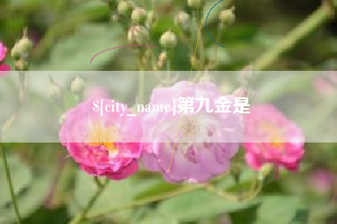 张掖第九金是
