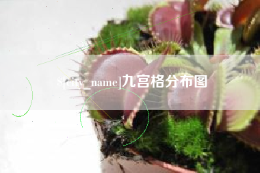 张掖九宫格分布图