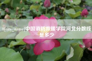 张掖中国消防救援学院河北分数线是多少