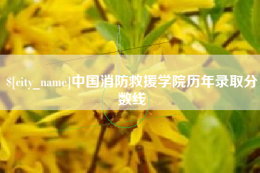 张掖中国消防救援学院历年录取分数线