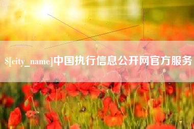 张掖中国执行信息公开网官方服务