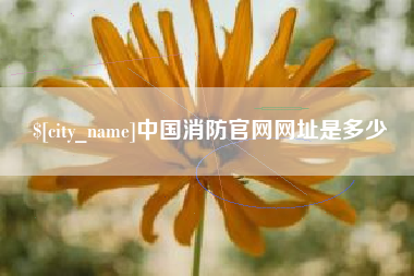 张掖中国消防官网网址是多少